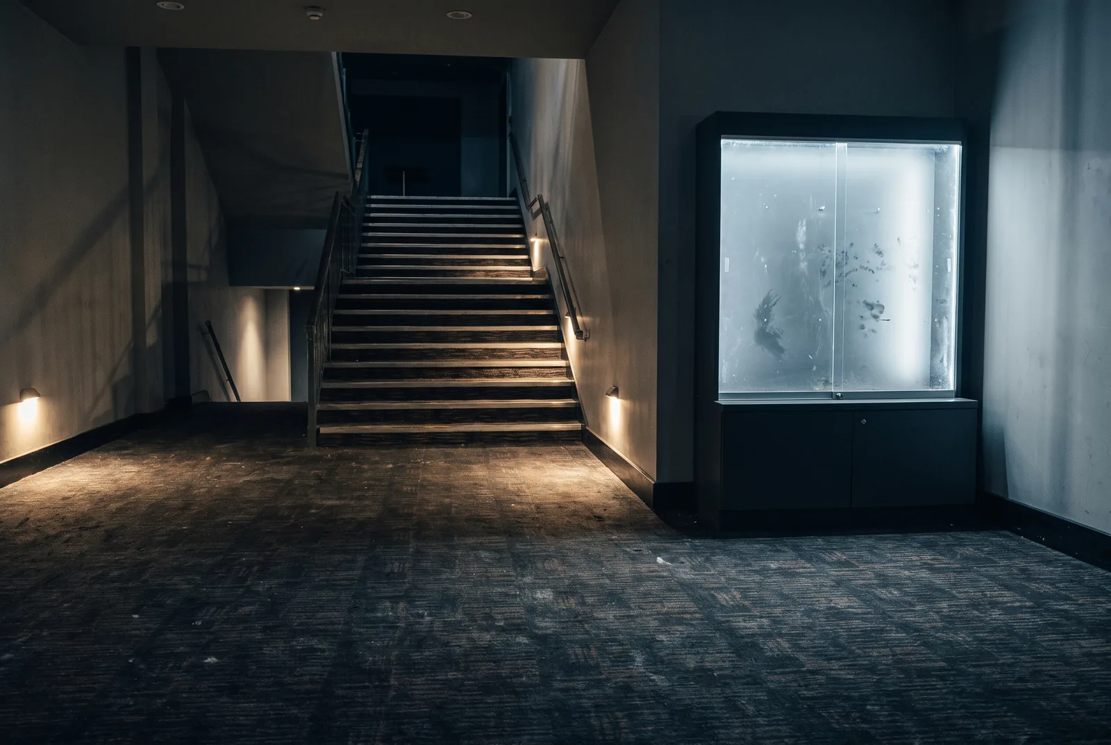 A lit retail cabinet sited against the side wall of a cinema lobby in the evening.